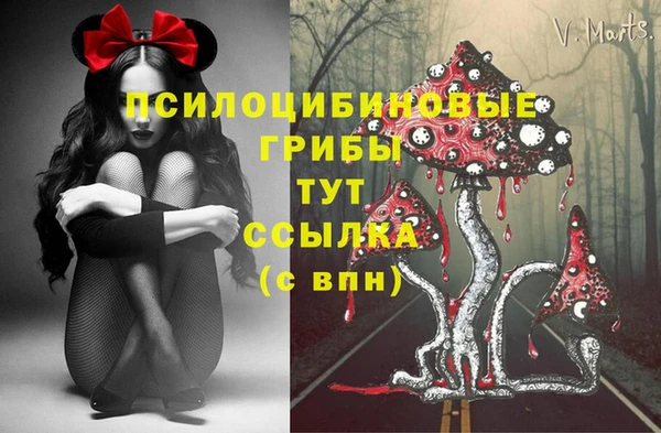 mdpv Лабытнанги