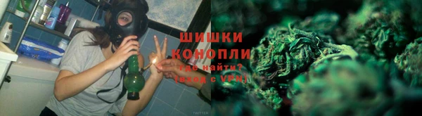 дживик Лагань