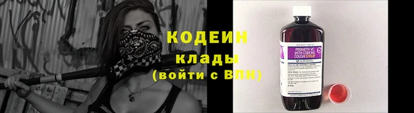 дживик Лагань