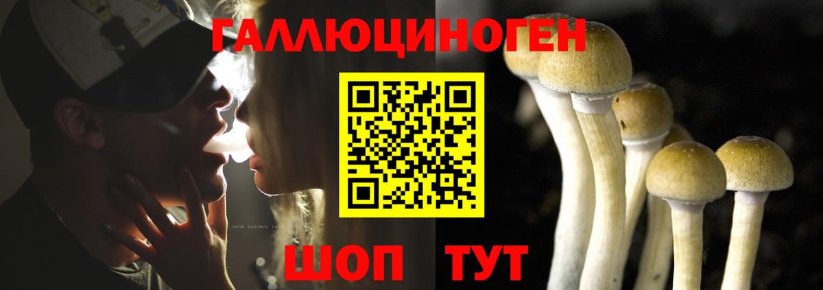 Псилоцибиновые грибы Psilocybe Тейково